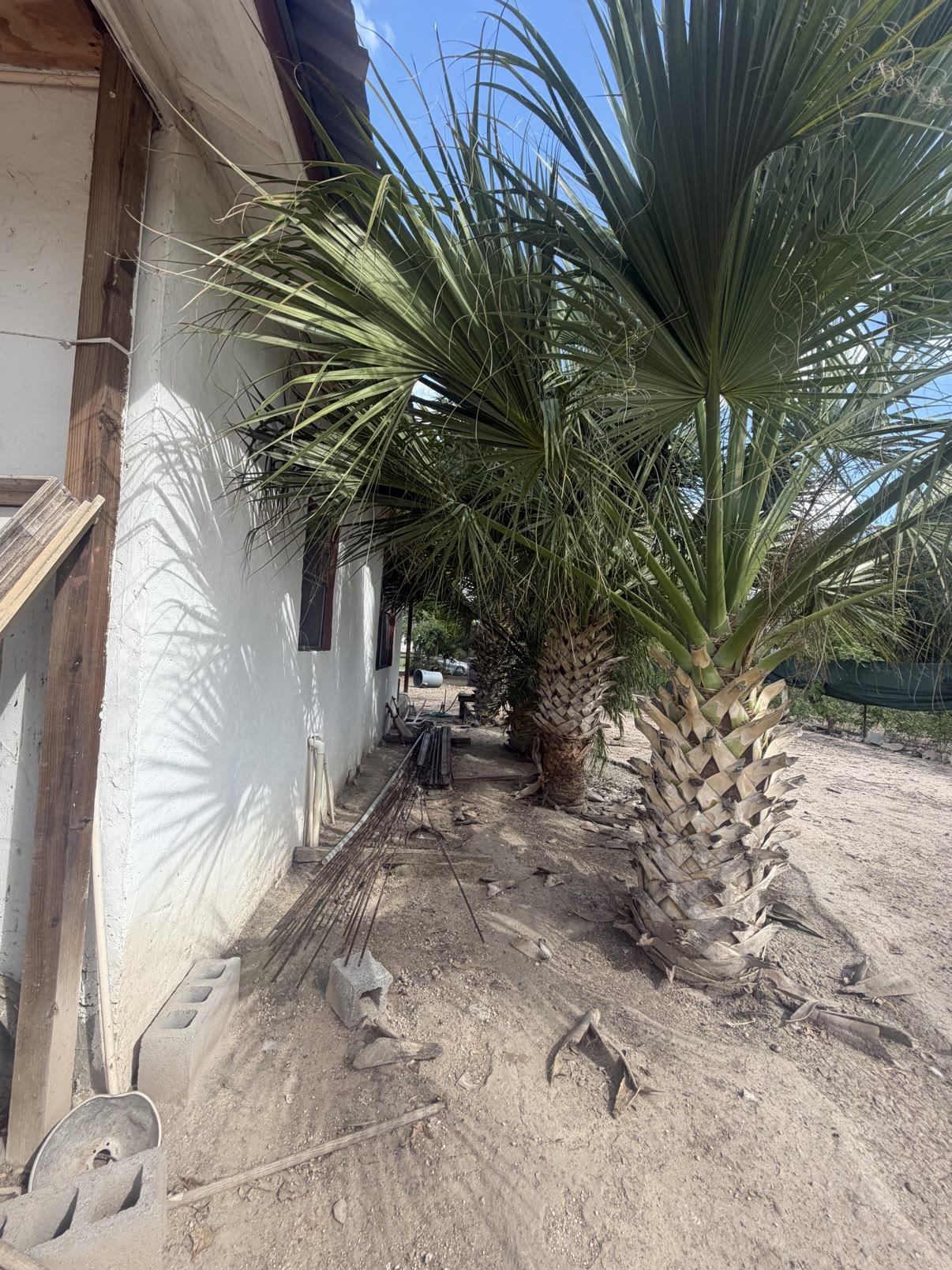 House photo 6